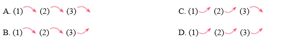 Pronunciation - Test Yourself 4 - SBT Tiếng Anh 11 Global Success 0 2