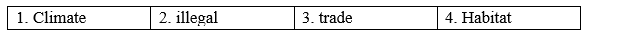 Revision (Units 3-4) - SBT Tiếng Anh 8 Right on! 0 1