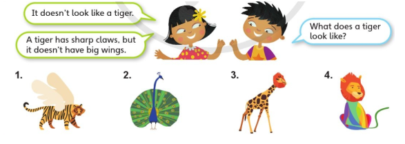 Tiếng Anh lớp 4 Unit 7 lesson 3 trang 114 Explore Our World 2 1