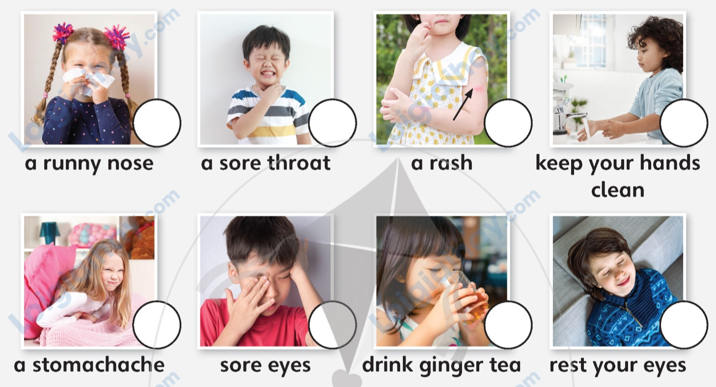 Tiếng anh lớp 5 Unit 5 lesson 5 trang 84 Explore Our World 1 1