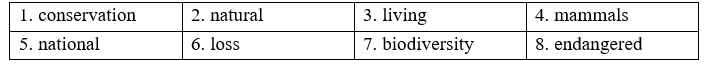 Vocabulary - Unit 10. The ecosystem - SBT Tiếng Anh 11 Global Success 1 1