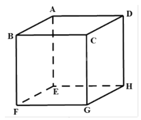Đề thi học kì 1 Toán 12 Cánh diều - Đề số 3 1 5